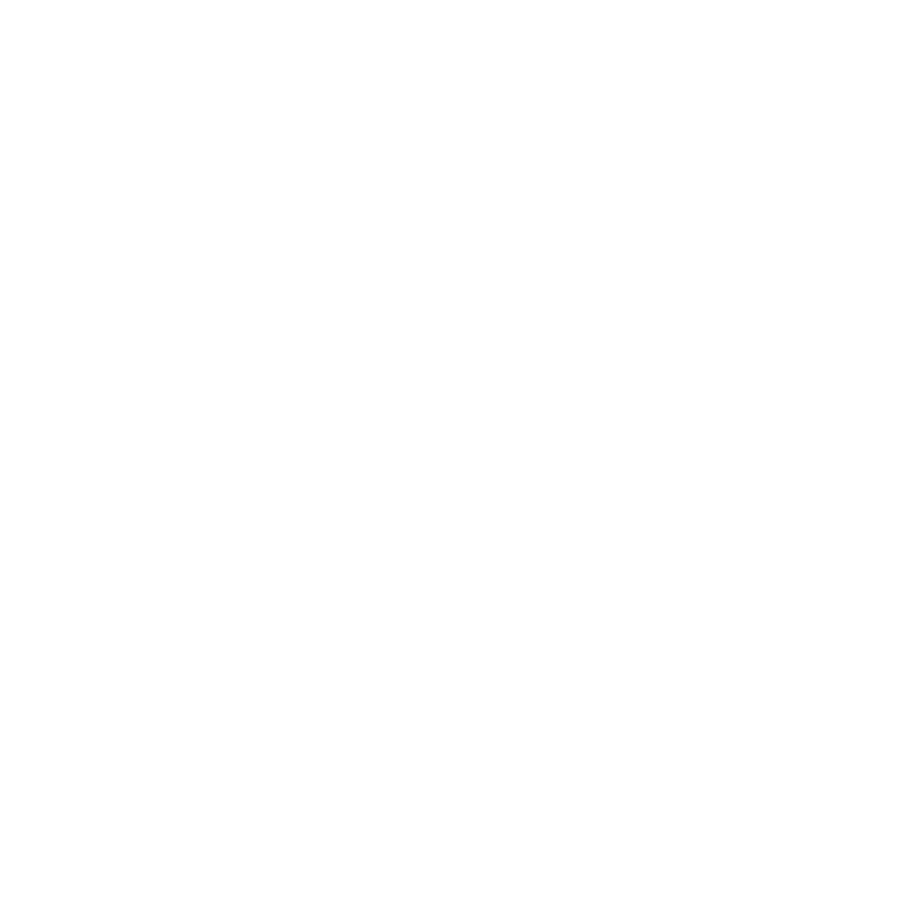 WordPress Website Development